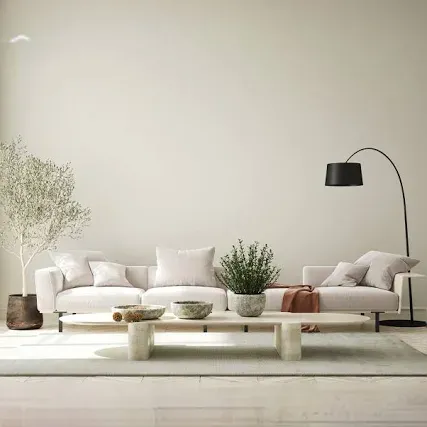 صورة توضح فئة دهانات داخلية جدة