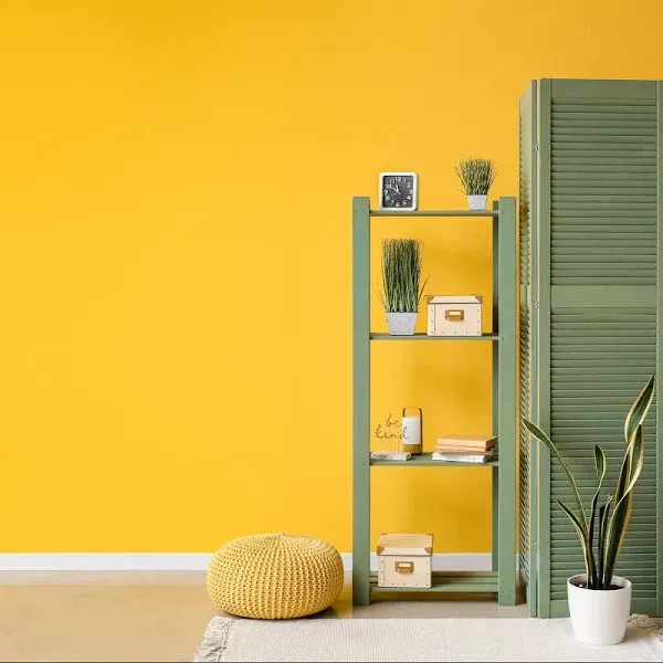 دهانات الوان سادة