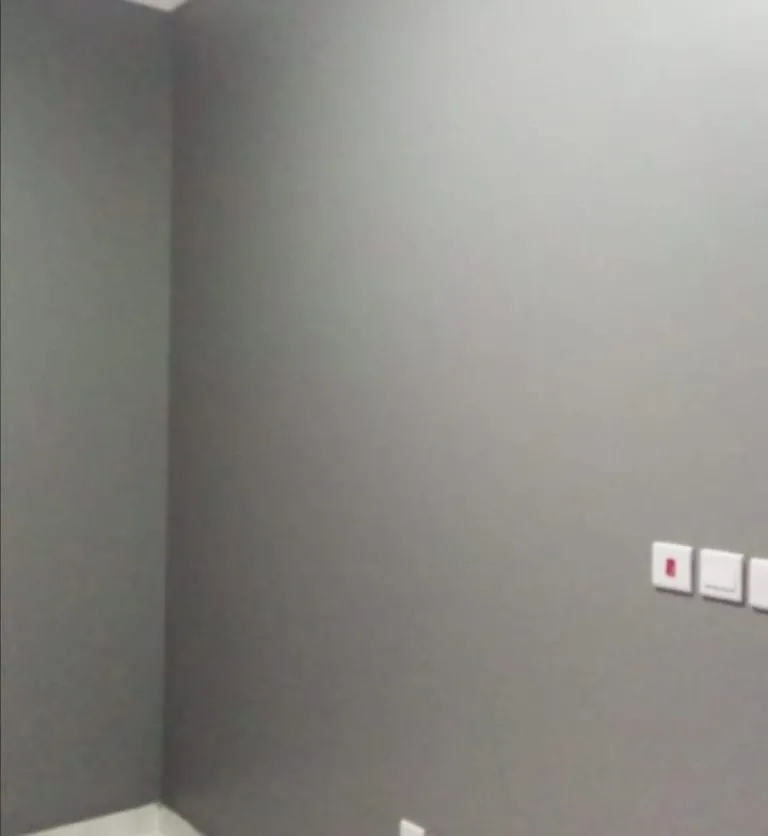 معلم دهانات داخلية وخارجية في الوزيرية بجدة