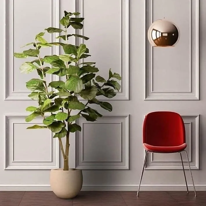 معلم فوم جدران, براويز فوم, بانوهات في جدة