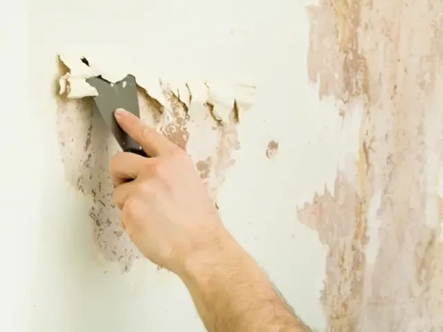 أحدث دهانات الديكورات في جدة في 2026 بين الهدوء والجرأة